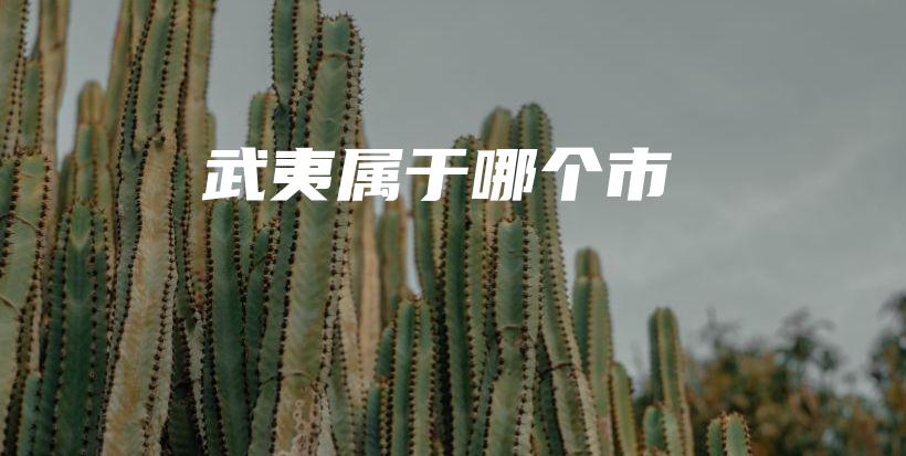 武夷属于哪个市插图