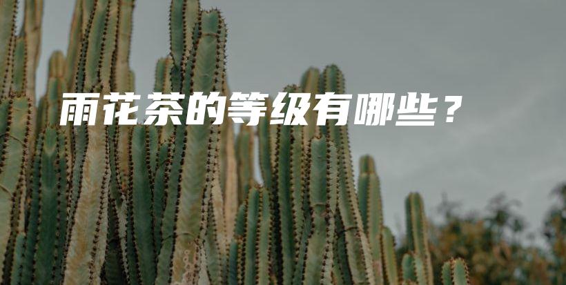 雨花茶的等级有哪些？插图