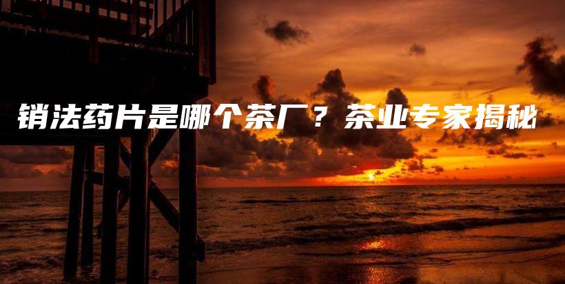 销法药片是哪个茶厂？茶业专家揭秘插图