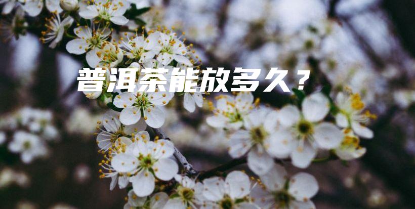 普洱茶能放多久？插图