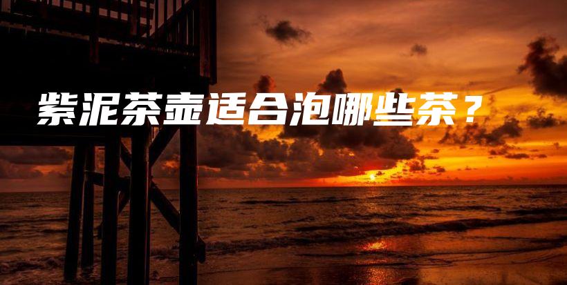 紫泥茶壶适合泡哪些茶？插图