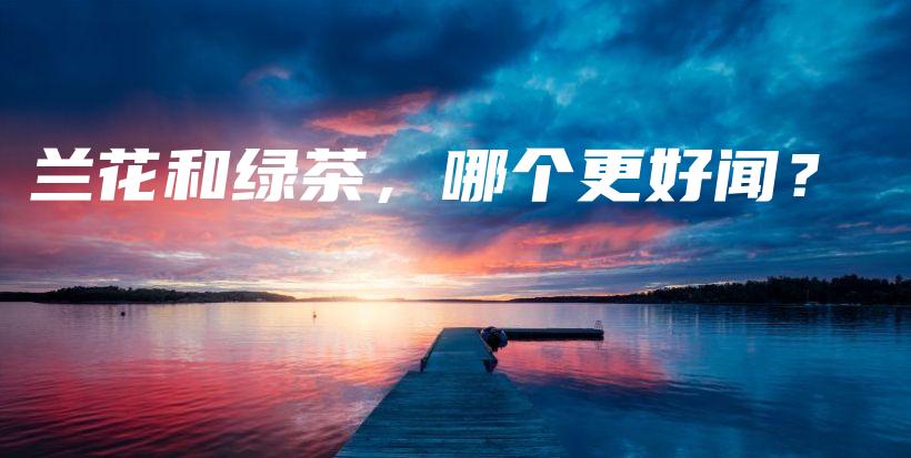 兰花和绿茶，哪个更好闻？插图