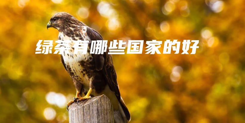 绿茶有哪些国家的好插图