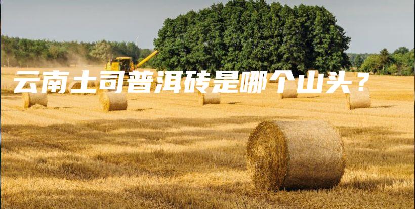 云南土司普洱砖是哪个山头？插图