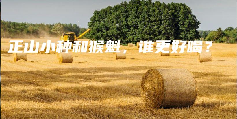 正山小种和猴魁，谁更好喝？插图