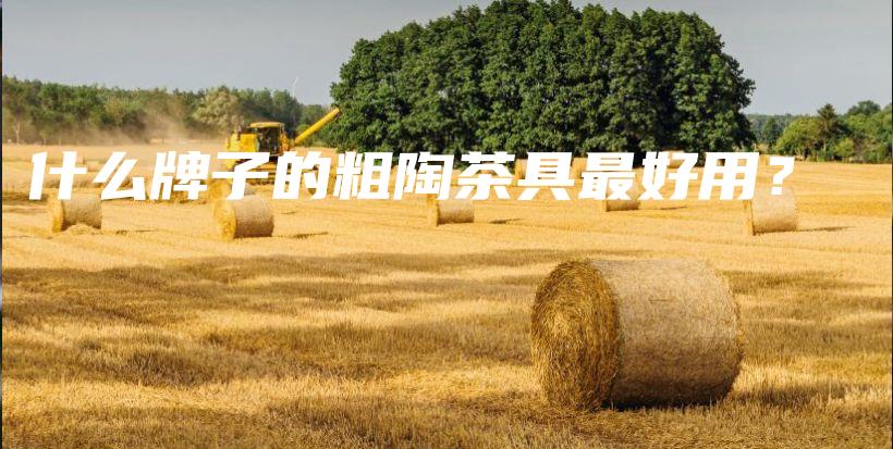 什么牌子的粗陶茶具最好用？插图