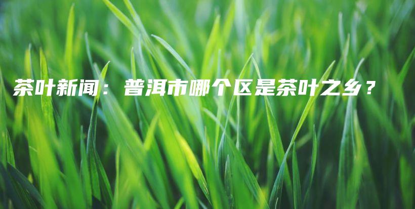 茶叶新闻：普洱市哪个区是茶叶之乡？插图