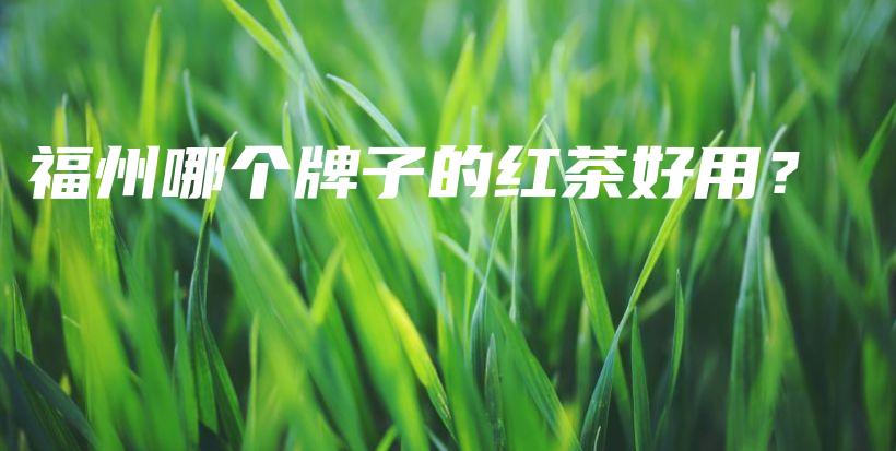 福州哪个牌子的红茶好用?插图 福州哪个牌子的红茶好用?插图