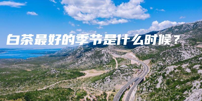 白茶最好的季节是什么时候？插图