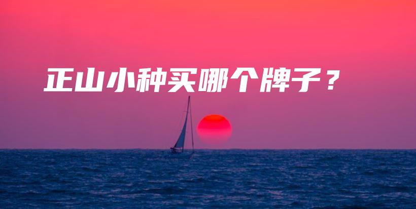 正山小种买哪个牌子？插图