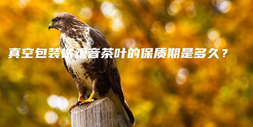 真空包装铁观音茶叶的保质期是多久？插图