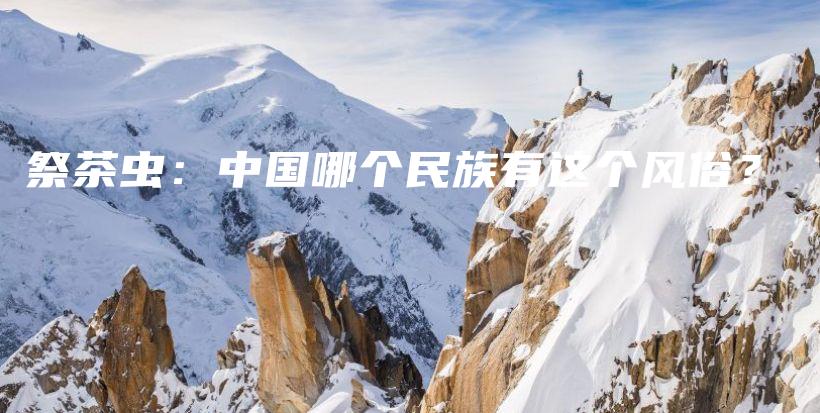 祭茶虫：中国哪个民族有这个风俗？插图