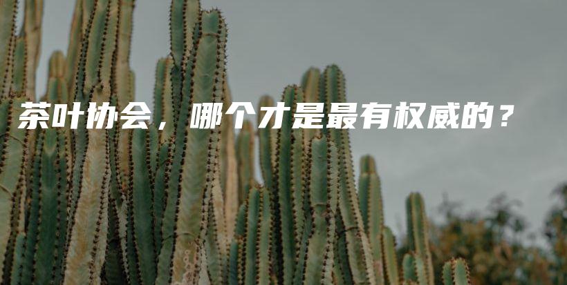 茶叶协会，哪个才是最有权威的？插图