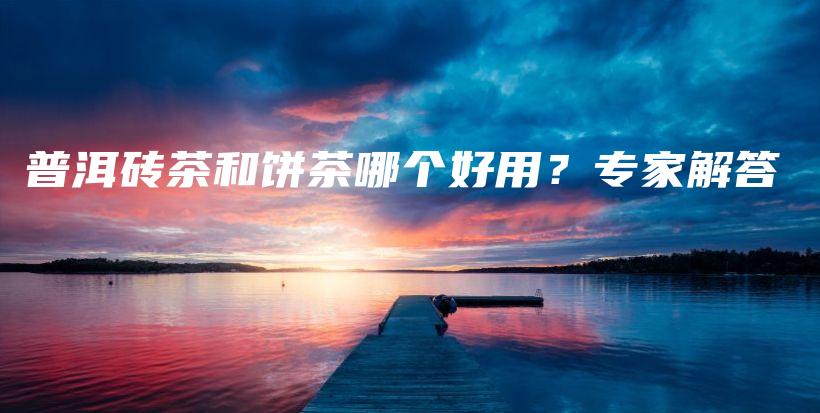 普洱砖茶和饼茶哪个好用？专家解答插图