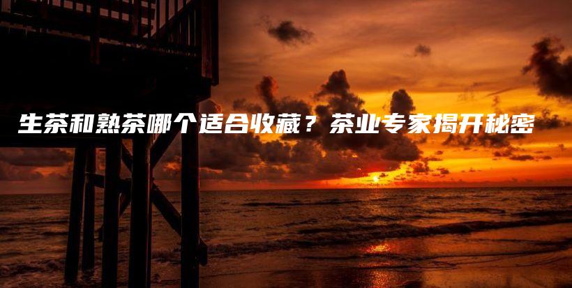生茶和熟茶哪个适合收藏？茶业专家揭开秘密插图