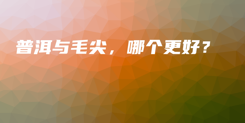 普洱与毛尖，哪个更好？插图