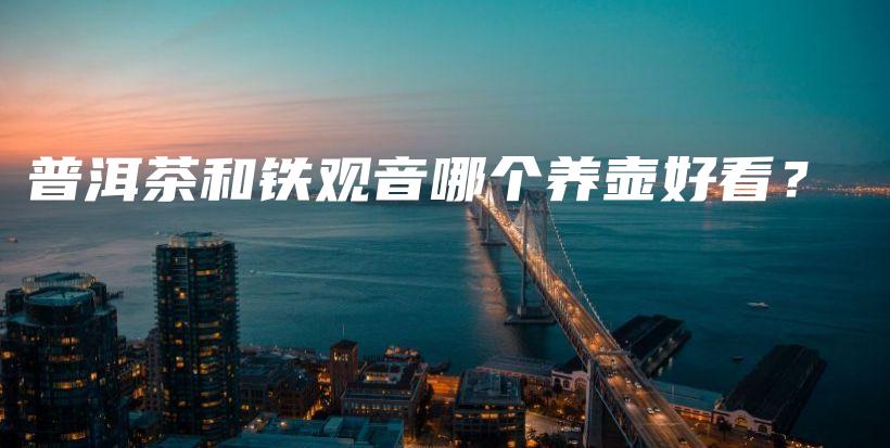 普洱茶和铁观音哪个养壶好看？插图