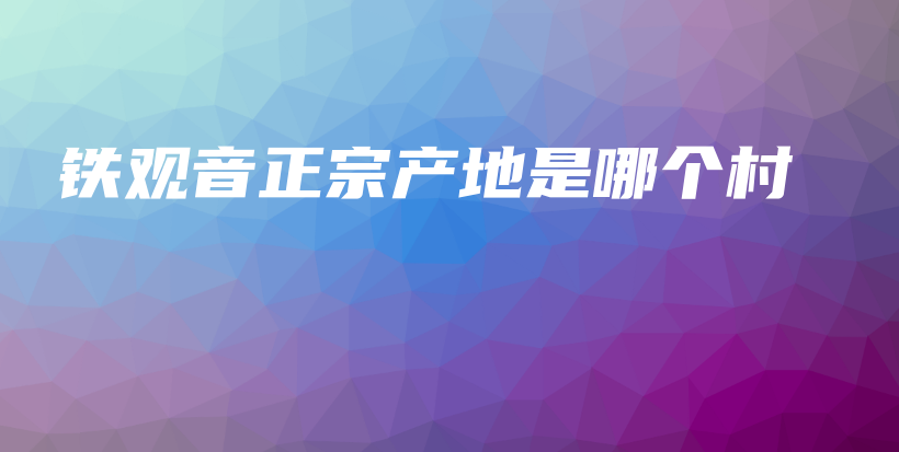 铁观音正宗产地是哪个村插图