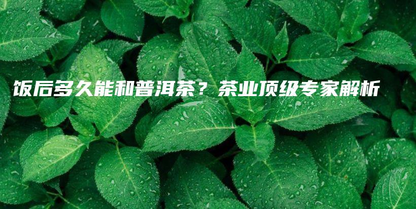 饭后多久能和普洱茶？茶业顶级专家解析插图