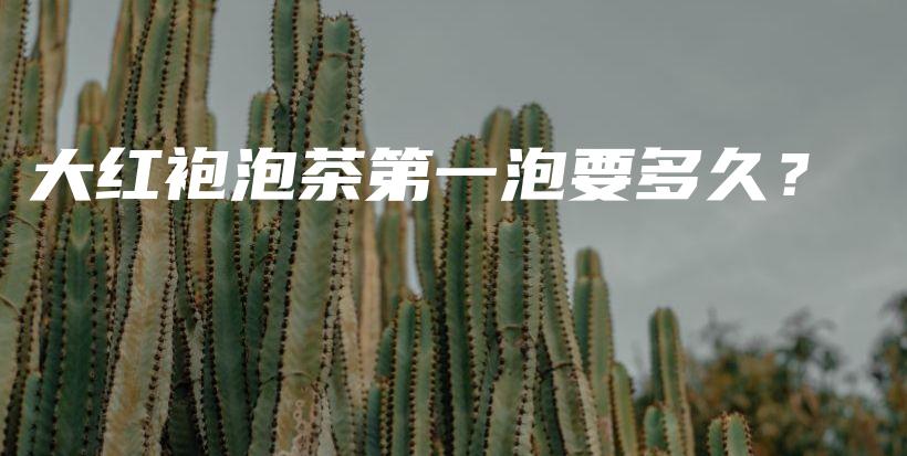 大红袍泡茶第一泡要多久?插图 大红袍泡茶第一泡要多久?插图