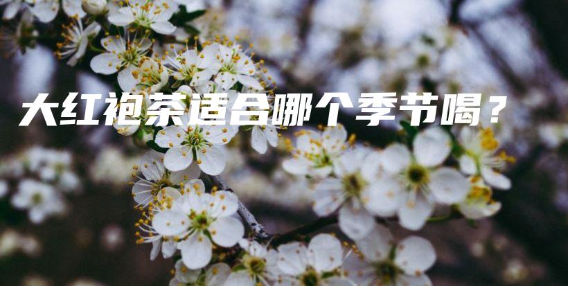 大红袍茶适合哪个季节喝？插图