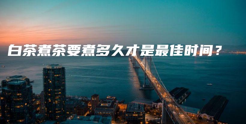 白茶煮茶要煮多久才是最佳时间?插图 白茶煮茶要煮多久才是最佳时间?插图