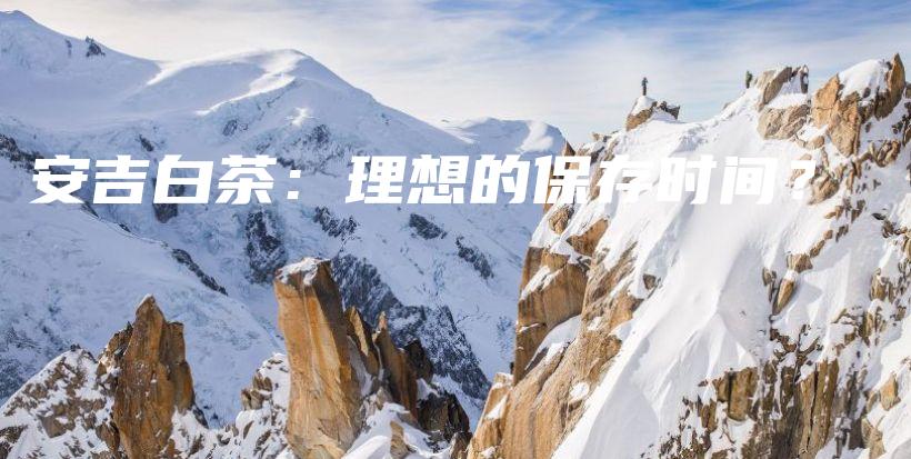安吉白茶：理想的保存时间？插图