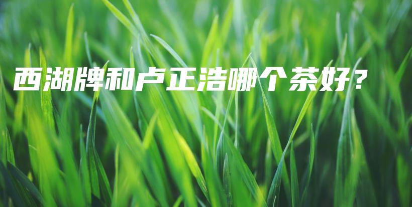西湖牌和卢正浩哪个茶好？插图