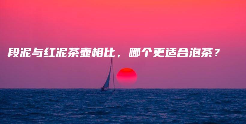 段泥与红泥茶壶相比，哪个更适合泡茶？插图