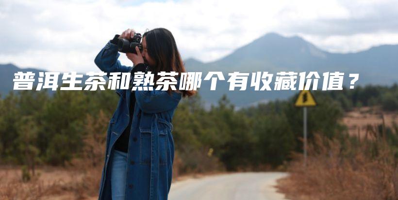 普洱生茶和熟茶哪个有收藏价值？插图