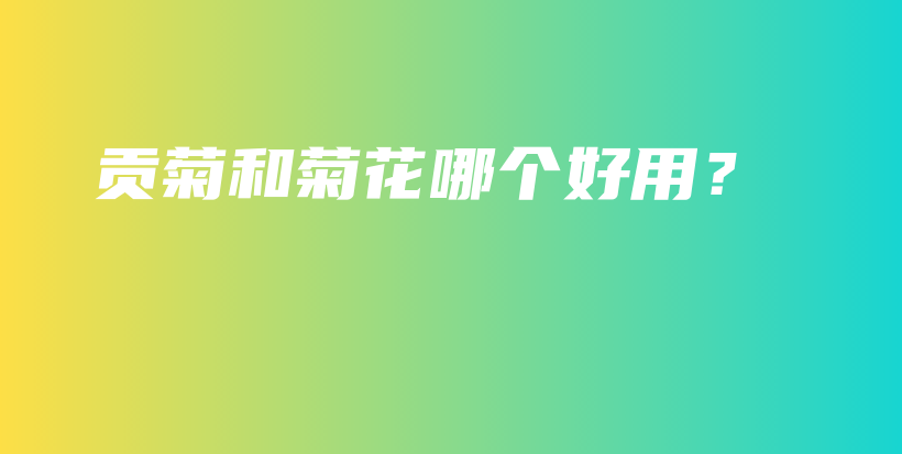 贡菊和菊花哪个好用？插图