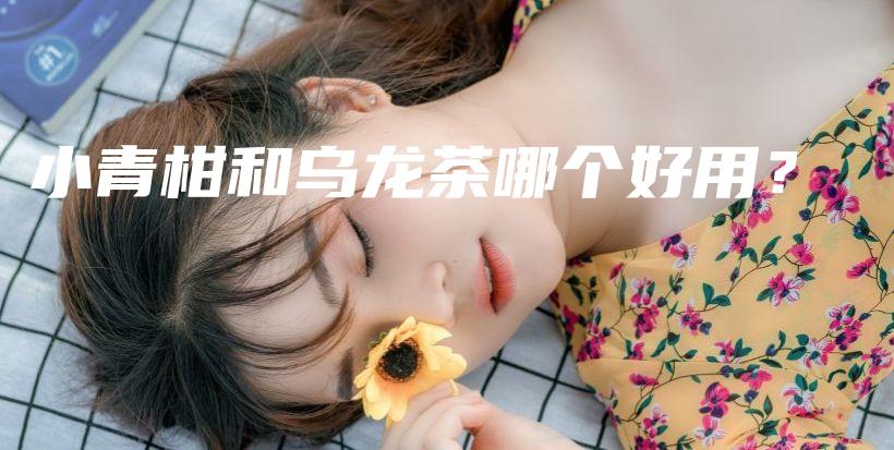 小青柑和乌龙茶哪个好用?插图 小青柑和乌龙茶哪个好用?插图