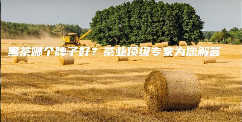 黑茶哪个牌子好？茶业顶级专家为您解答插图