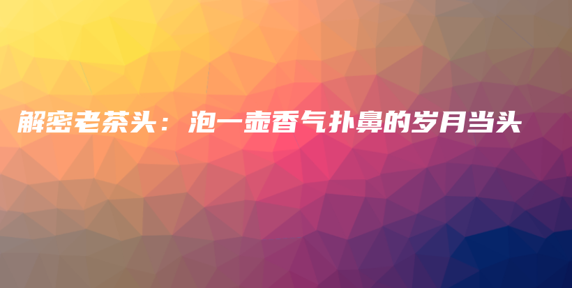解密老茶头：泡一壶香气扑鼻的岁月当头插图
