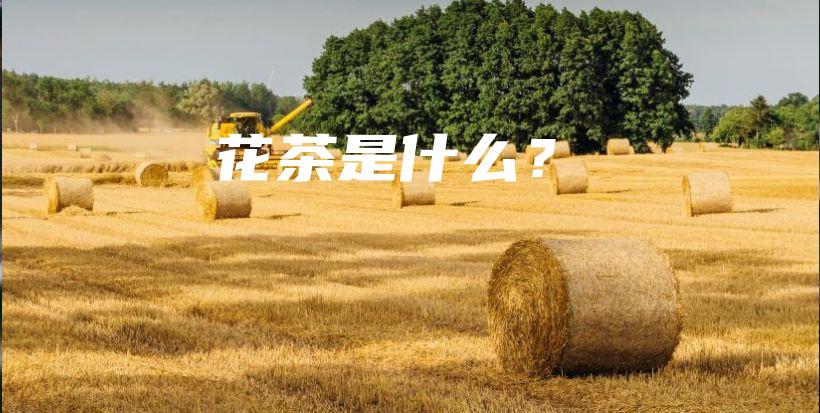 花茶是什么？插图