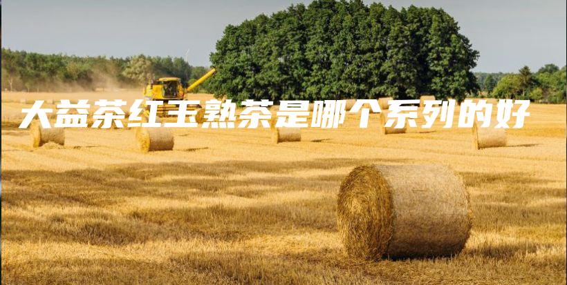 大益茶红玉熟茶是哪个系列的好插图 大益茶红玉熟茶是哪个系列的好插图