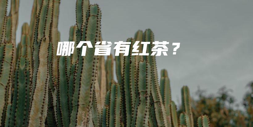 哪个省有红茶？插图