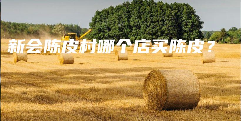 新会陈皮村哪个店买陈皮？插图