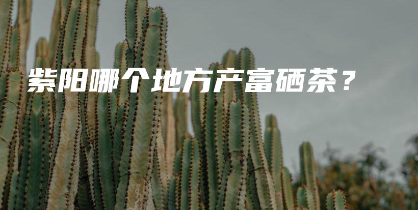 紫阳哪个地方产富硒茶？插图