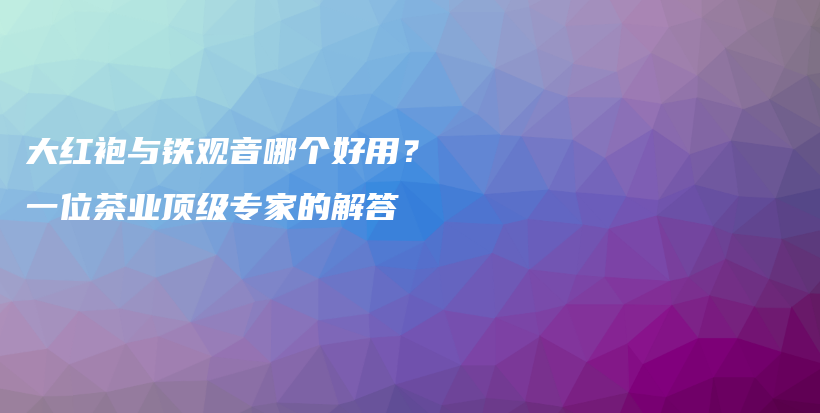 大红袍与铁观音哪个好用？一位茶业顶级专家的解答插图