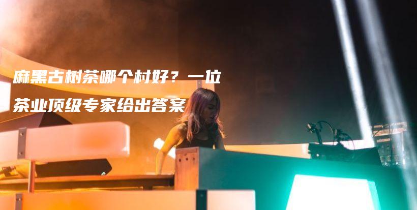 麻黑古树茶哪个村好？一位茶业顶级专家给出答案插图