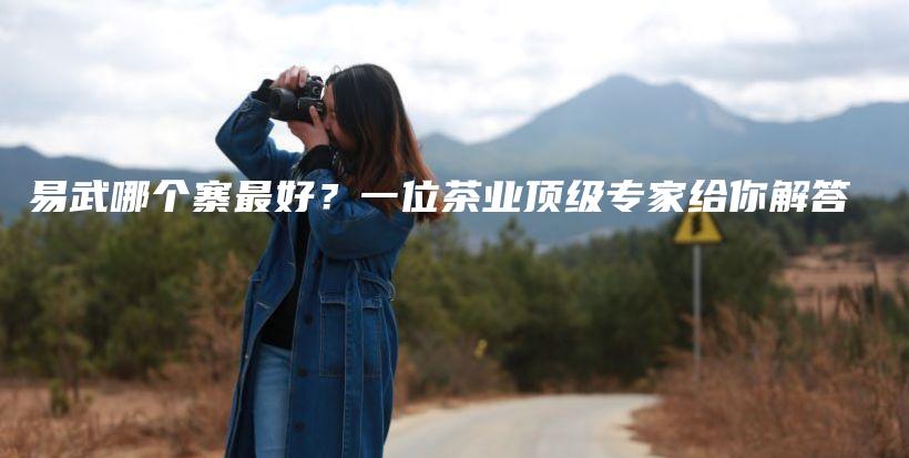 易武哪个寨最好？一位茶业顶级专家给你解答插图