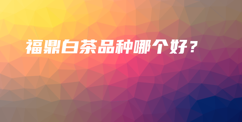 福鼎白茶品种哪个好?插图 福鼎白茶品种哪个好?插图