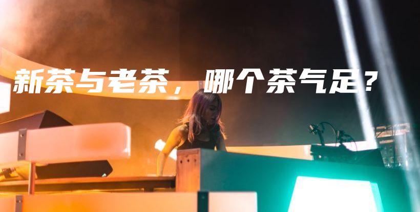 新茶与老茶，哪个茶气足？插图
