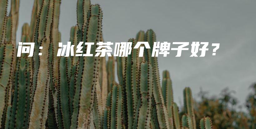 问：冰红茶哪个牌子好？插图