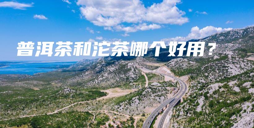 普洱茶和沱茶哪个好用？插图