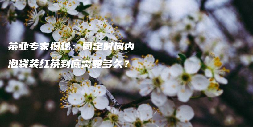 茶业专家揭秘：固定时间内泡袋装红茶到底需要多久？插图