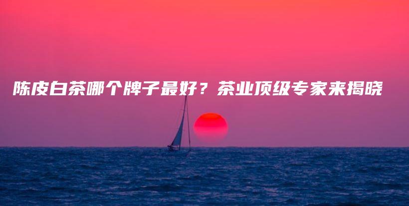 陈皮白茶哪个牌子最好?茶业顶级专家来揭晓插图 陈皮白茶哪个牌子最好?茶业顶级专家来揭晓插图