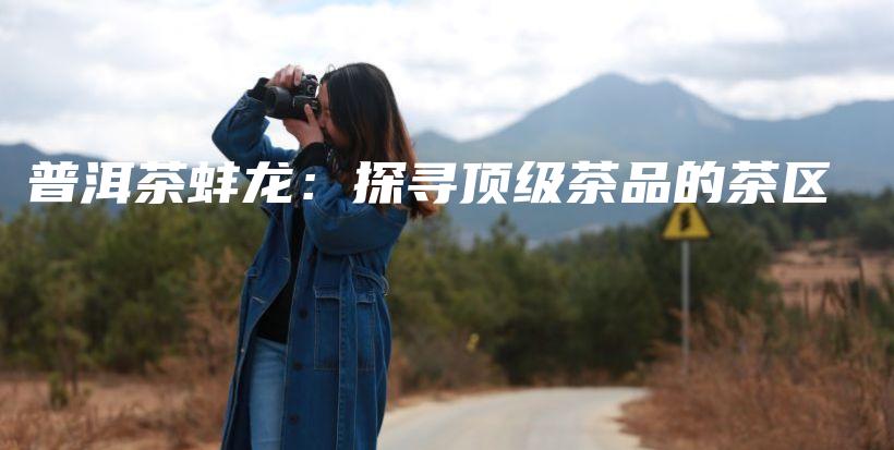 普洱茶蚌龙：探寻顶级茶品的茶区插图