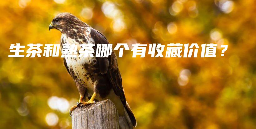 生茶和熟茶哪个有收藏价值？插图